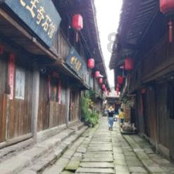 遗失之森